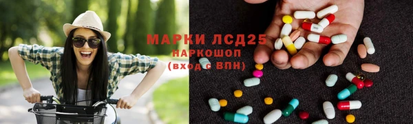 spice Богородск