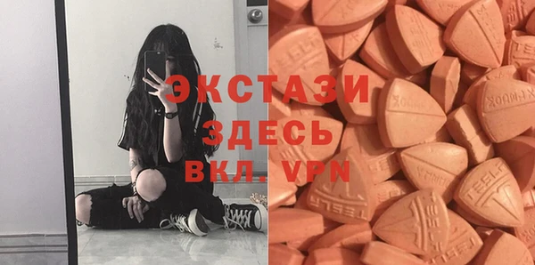 ПСИЛОЦИБИНОВЫЕ ГРИБЫ Богданович