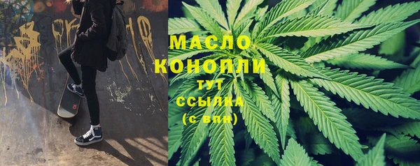 ПСИЛОЦИБИНОВЫЕ ГРИБЫ Богданович