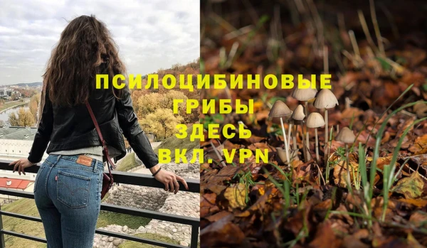 spice Богородск
