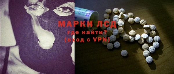 ПСИЛОЦИБИНОВЫЕ ГРИБЫ Богданович