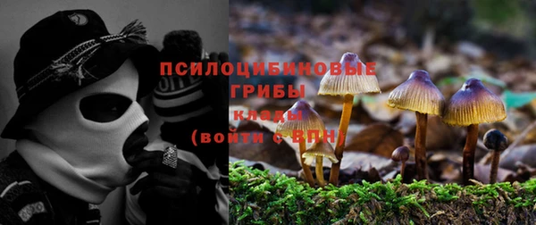 spice Богородск